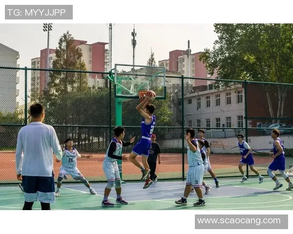 武汉篮球队在篮球团队协作排行榜中荣获第五名展现出色团队精神与实力