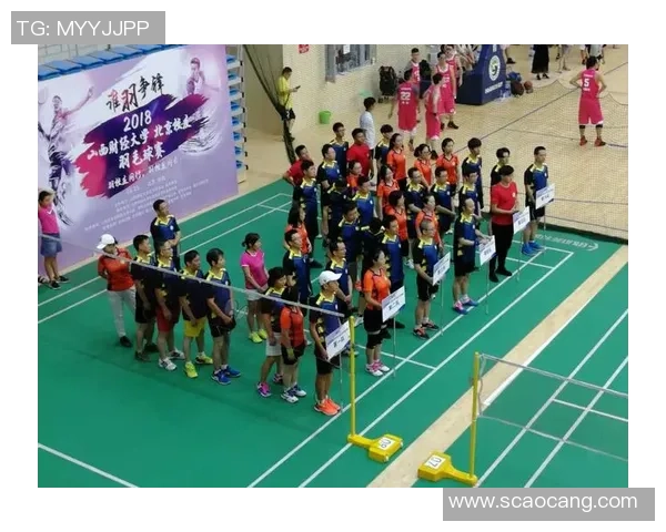 北京羽毛球队灵活性分析与训练策略探讨